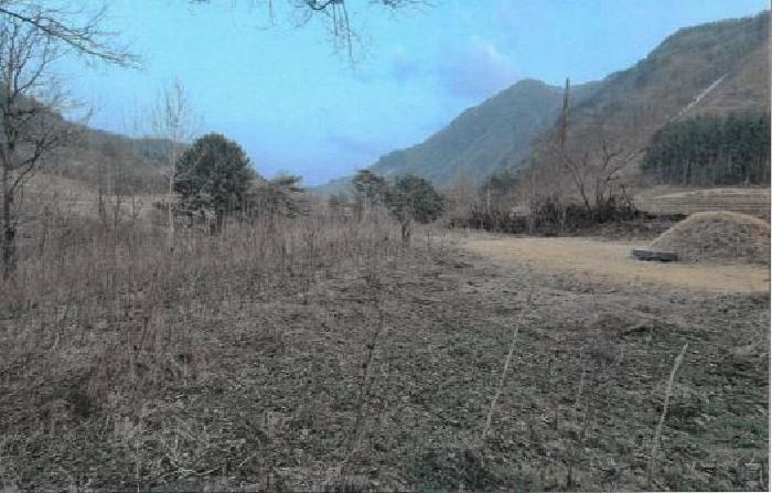 본 건(전경)