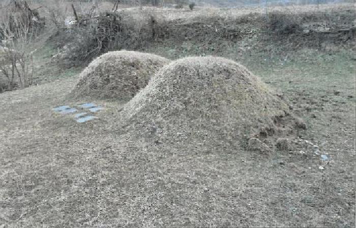 본 건(지상에 소재하는 분묘)