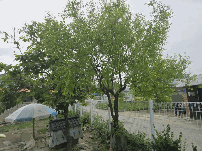 2025타경223