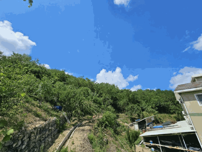 일련번호(2) 남측 전경