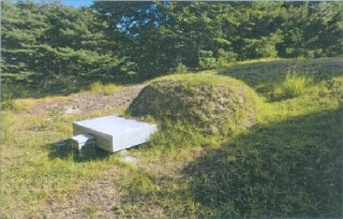 지상에 소재하는 분묘(1)