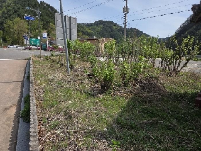 본건 기호5번, 12번 전경도