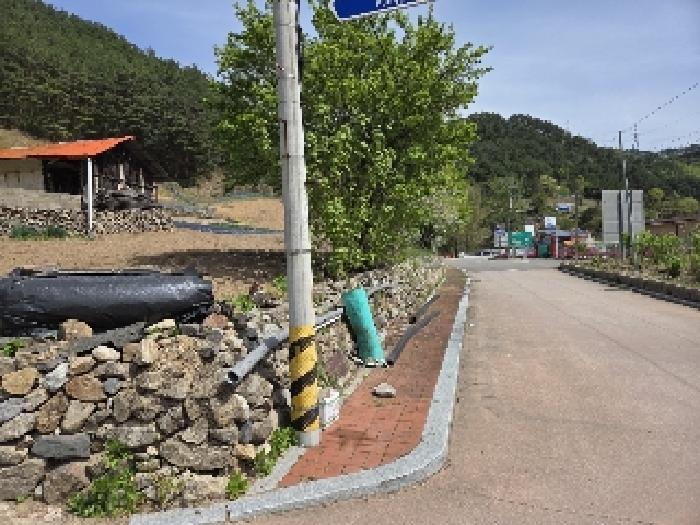 본건 기호6번, 9번 전경도