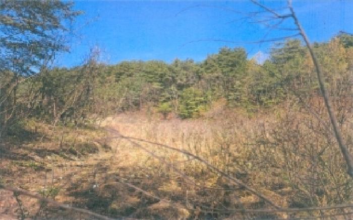 서측에서 근접 촬영