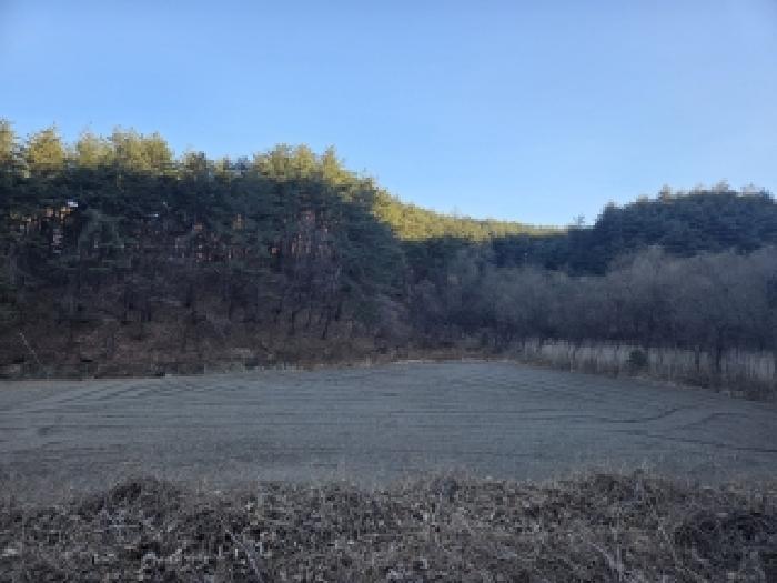 본건 남측에서 찍은 사진