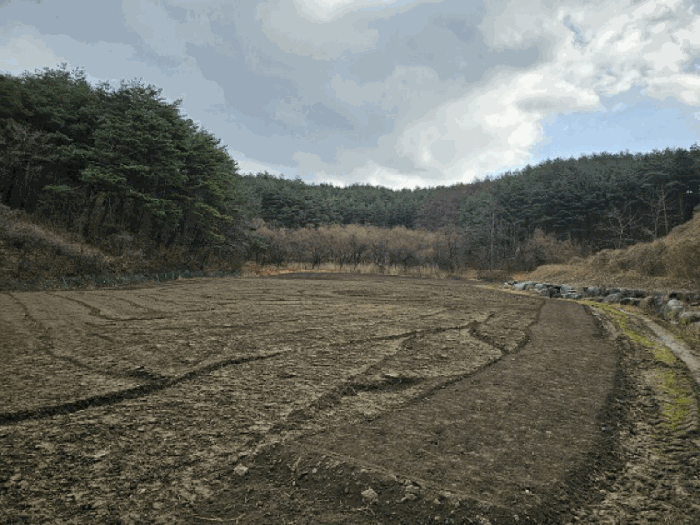 본건 서측 전경