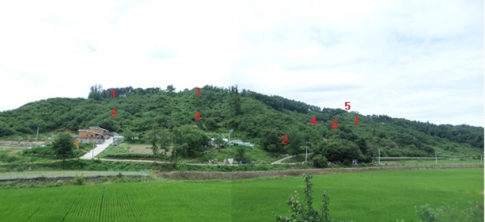이건 임야 일대(사진의 표시는 대략적 위치임)