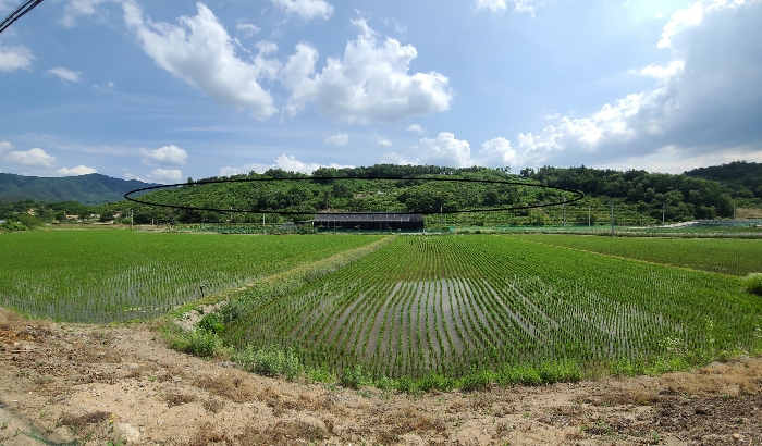 본건전경1