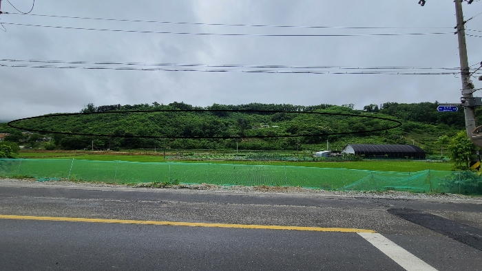 본건전경2