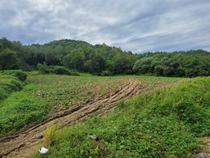 2022타경2041