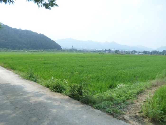 2022타경502428[6]