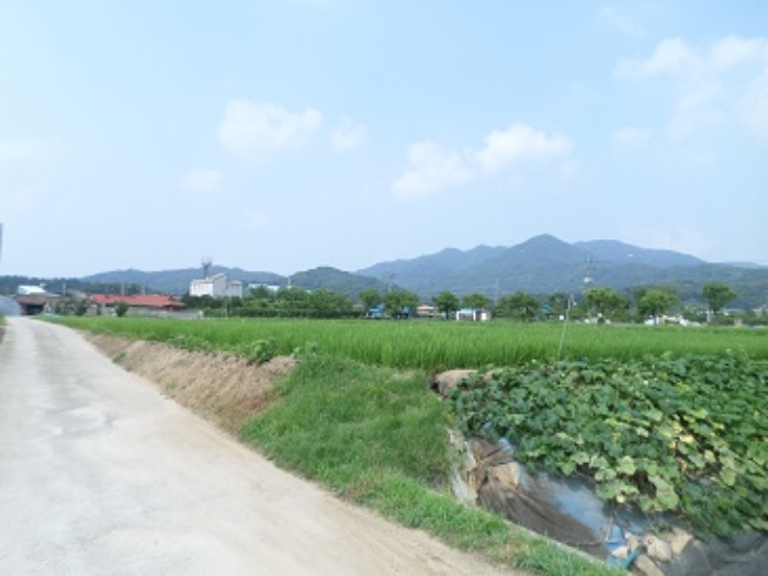 2022타경502428[6]