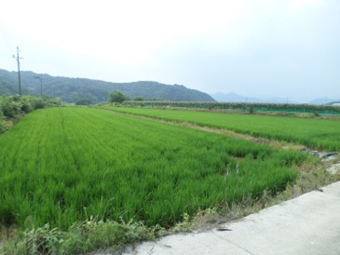 2022타경502428[6]
