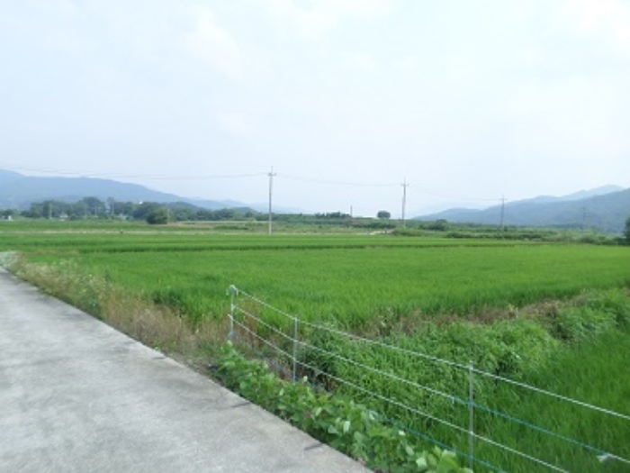 2022타경502428[6]