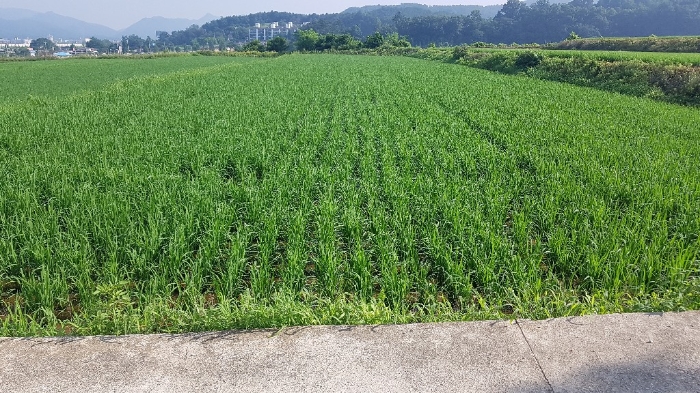 2022타경502428[6]