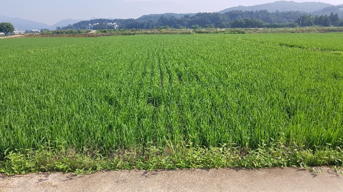 2022타경502428[6]