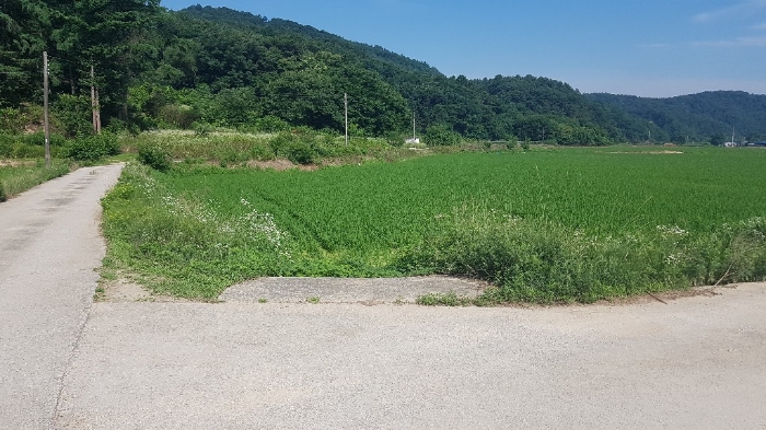 2022타경502428[6]