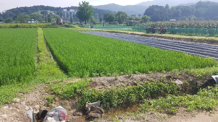 2022타경502428[6]