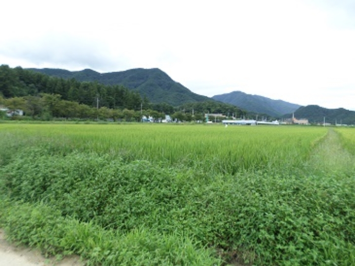 2022타경503261[1]