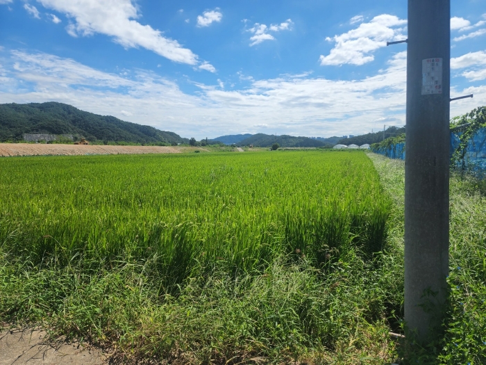 2022타경503261[1]