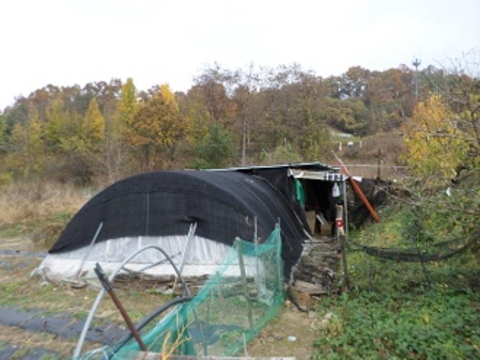 목록30 경계 부분의 제시 외 간이창고