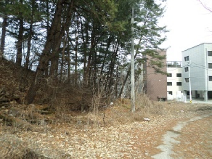 목록4 일대