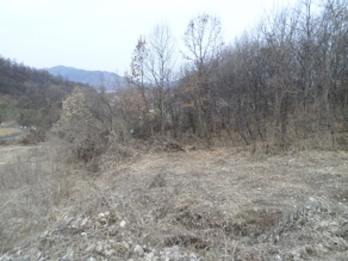 목록7 일대
