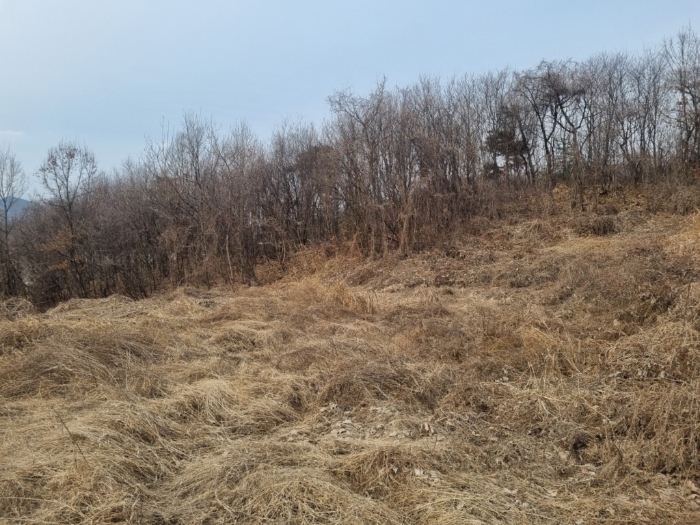 일련번호7)