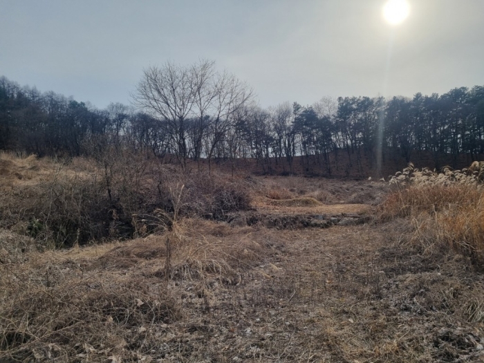 일련번호10)