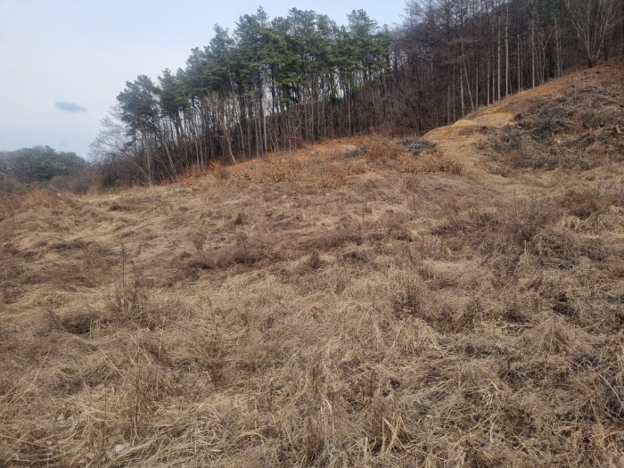 일련번호11) 일부