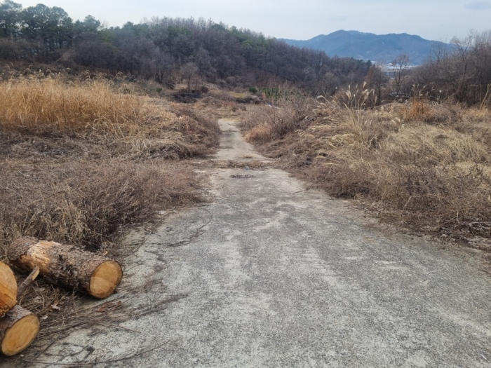 일련번호12,13)