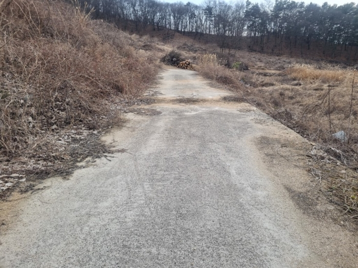 일련번호15)
