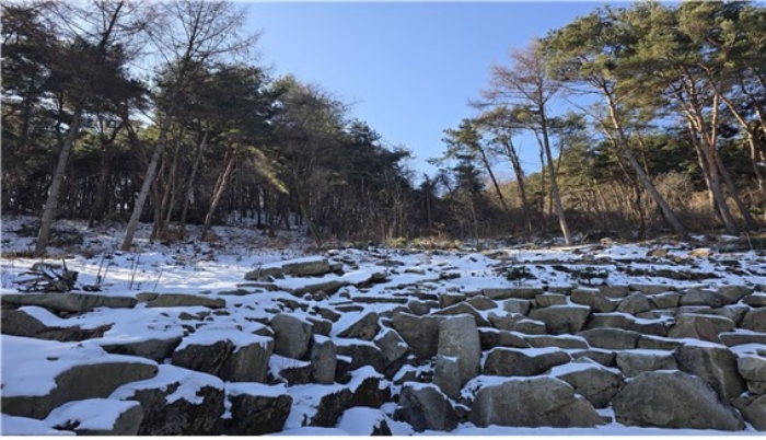 기호(3) 전경