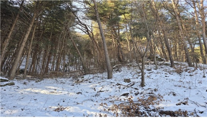 기호(3) 전경