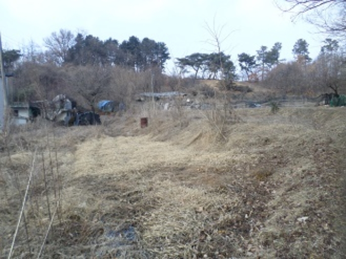 목록2 근접촬영