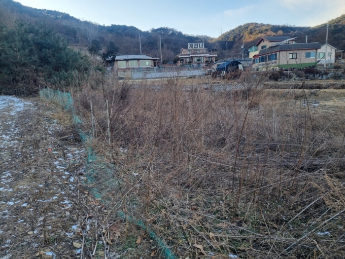일련번호1)