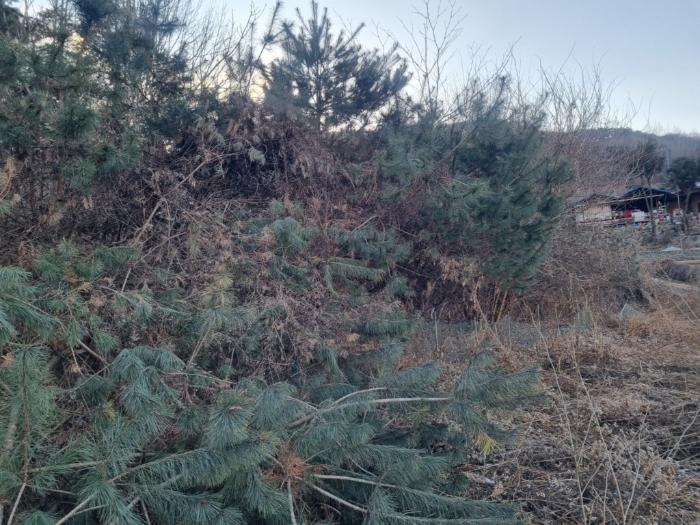 일련번호1)