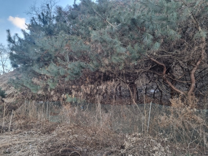 일련번호1)