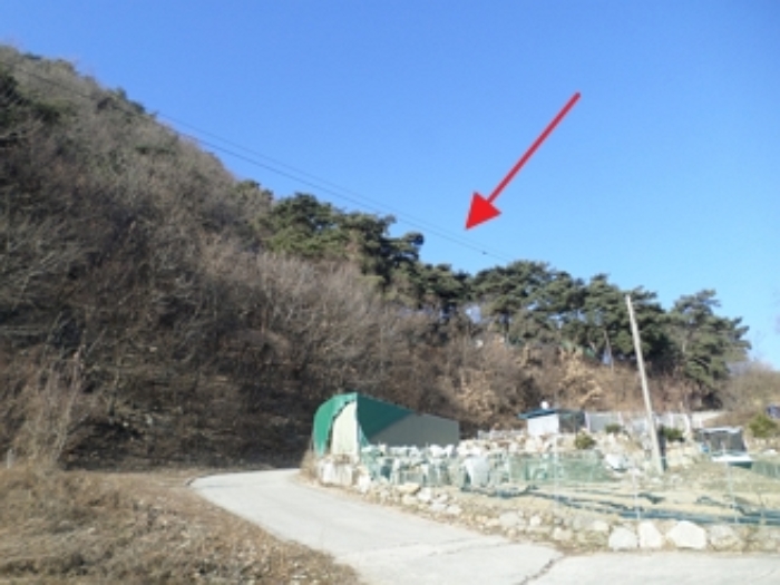 이 사건 임야 일대