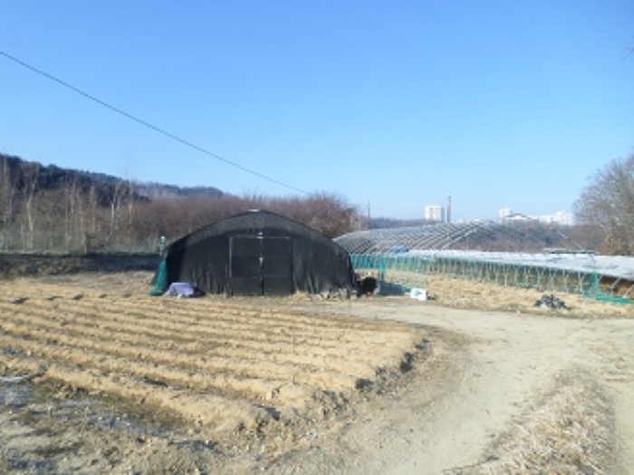 목록3 근접촬영
