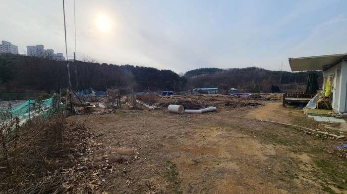 기호(1) 전경