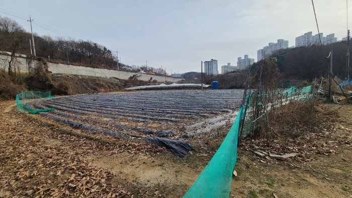 기호(2) 전경