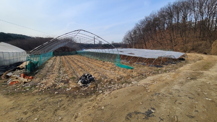 기호(2) 지상 제시외 비닐하우스