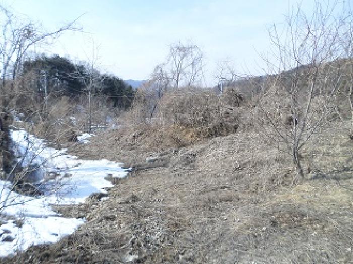목록1 일대