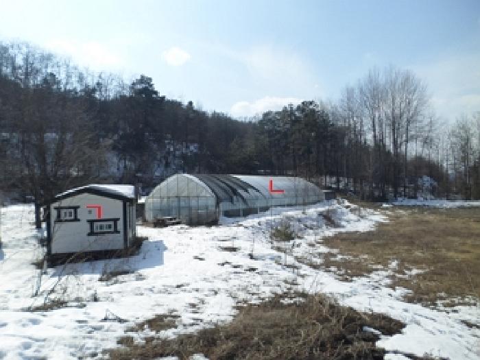 목록6 근접촬영