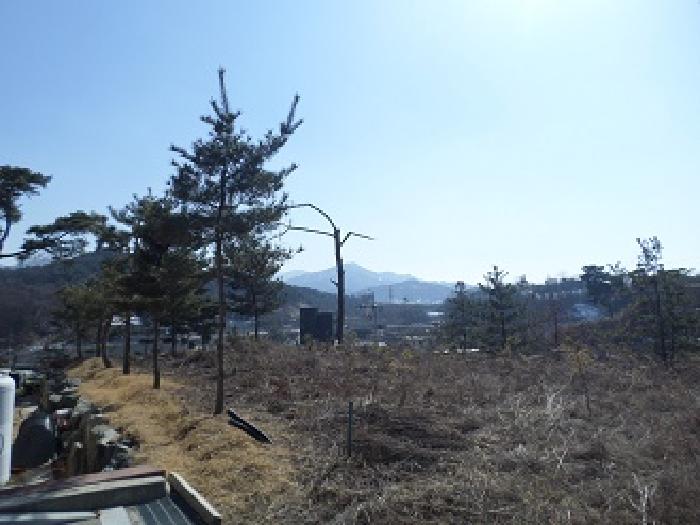 목록8 일대