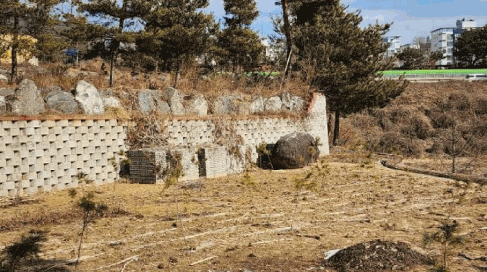 기호7 토지의 묘목