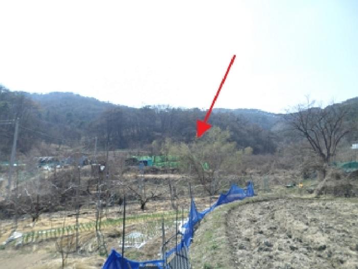 이 사건 토지 및 주변상황