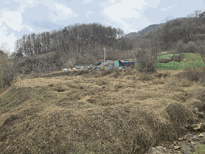 본건 전경(본건 동측에서 촬영)