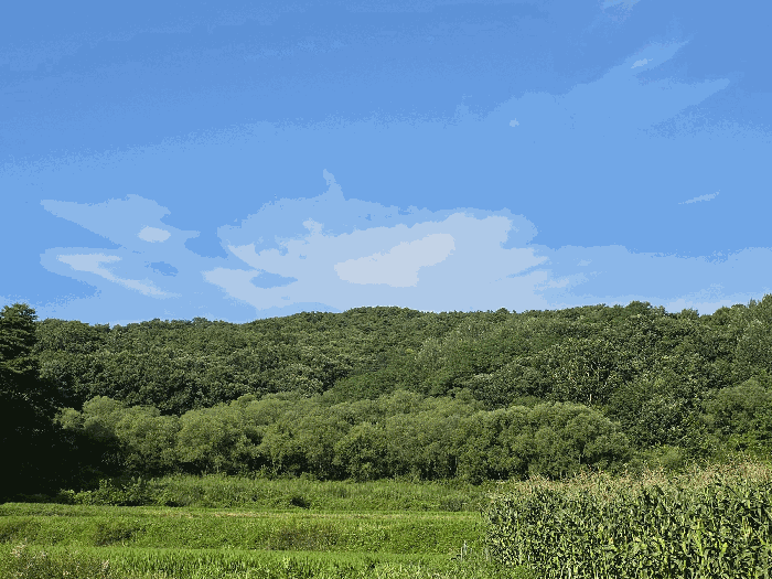 본건 원거리(본건 남서측에서 촬영)